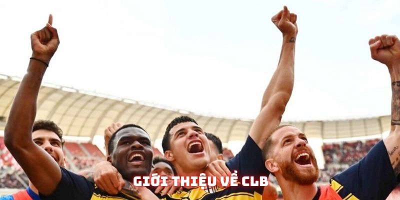 CLB Parma: Hào Quang Rực Rỡ Và Bi Kịch Của Bóng Đá Ý - KQBD 1 CLB Parma - Từ đỉnh cao châu Âu đến vực sâu phá sản