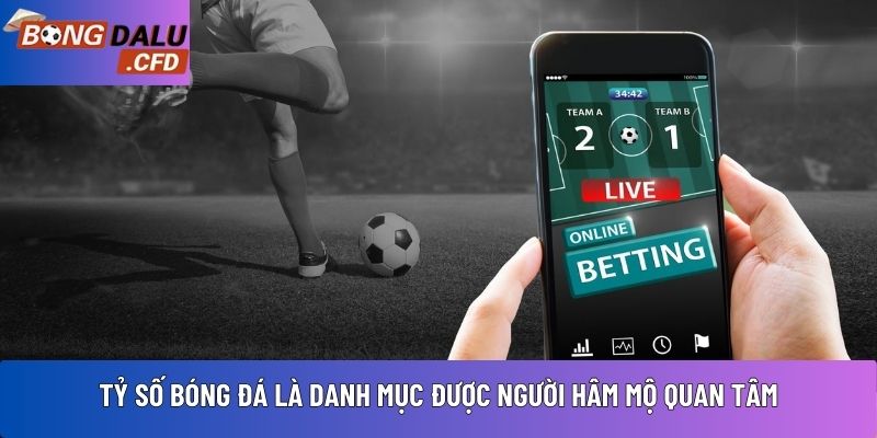 Tỷ số bóng đá là danh mục được người hâm mộ quan tâm